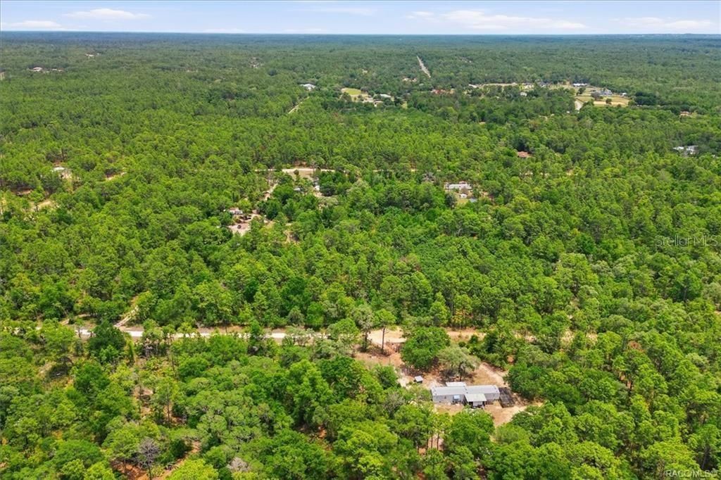 5267 N Lace Point , Dunnellon, FL 34433 Photo