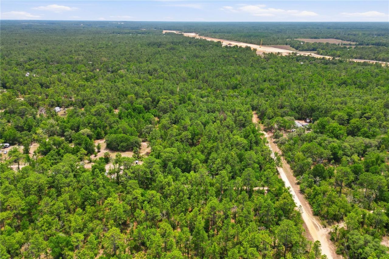 5339 N Lace Point , Dunnellon, FL 34433 Photo