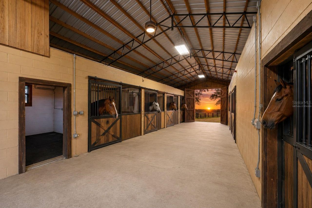 36203 Micro Racetrack Road, Fruitland Park, FL 34731 Photo