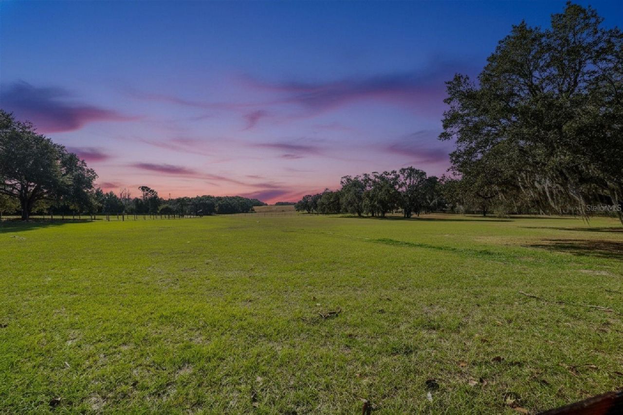 36203 Micro Racetrack Road, Fruitland Park, FL 34731 Photo