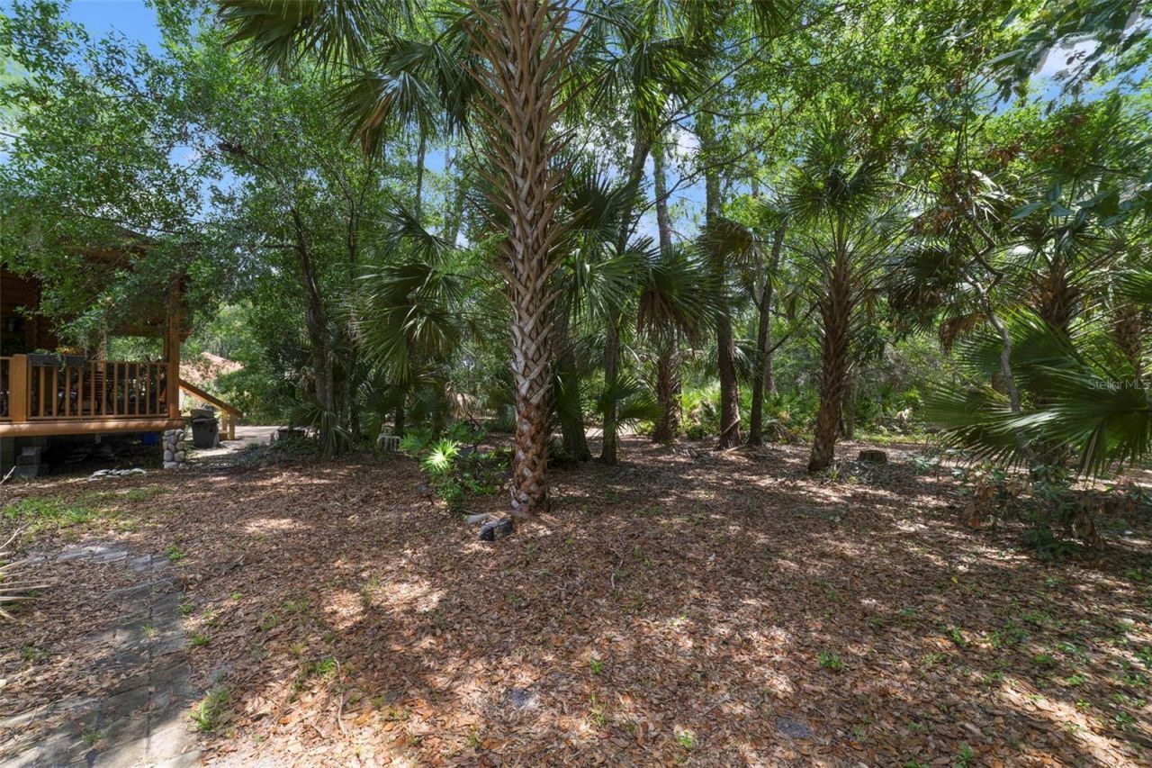3375 S Mellonville Ave, Sanford, FL 32773 Photo