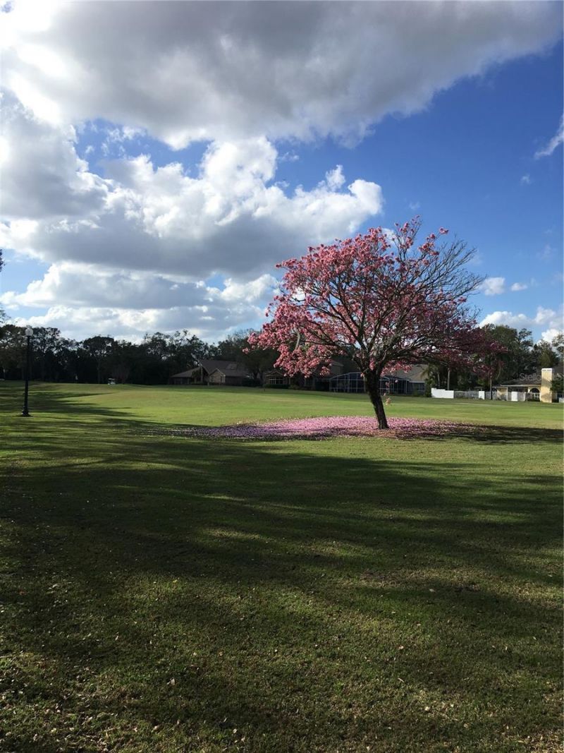 1552 Langham Terrace, Lake Mary, FL 32746 Photo