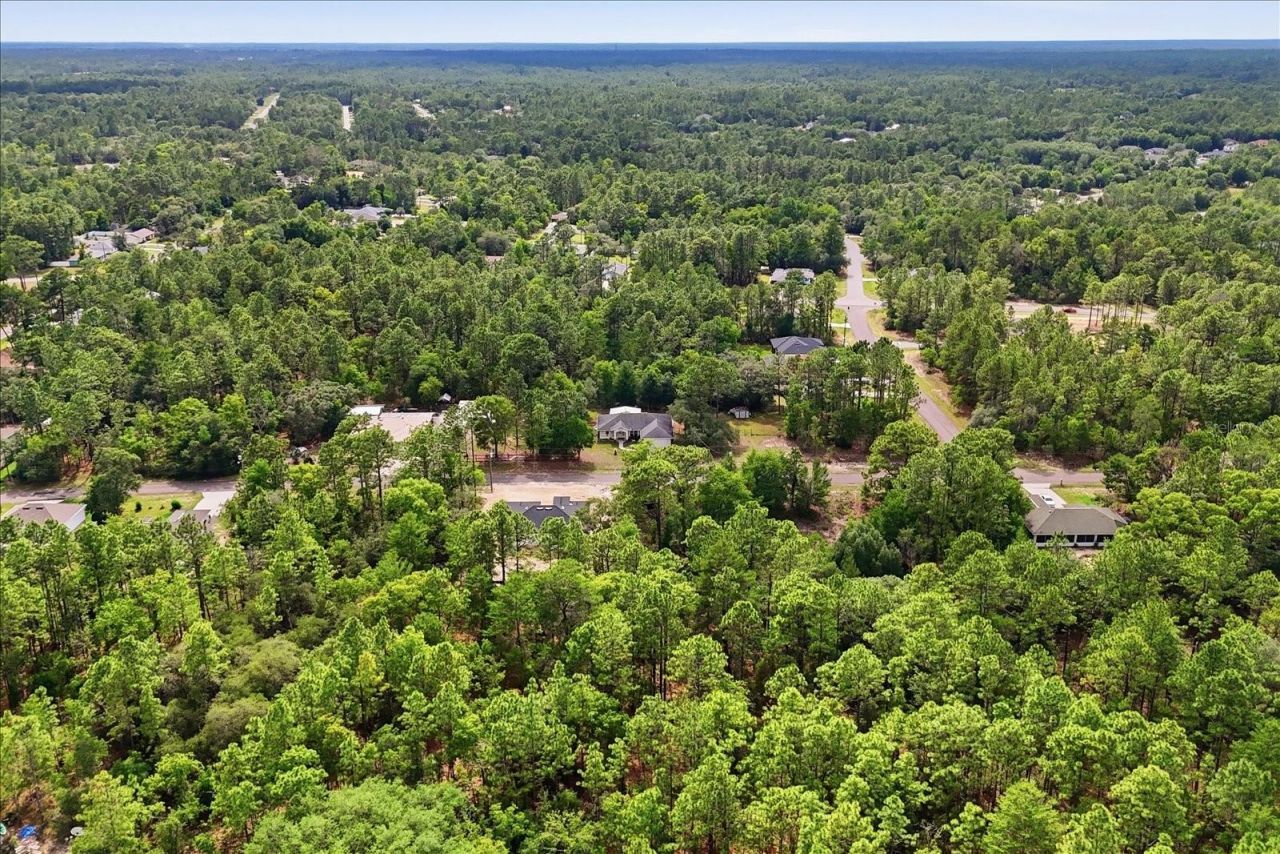 7630 N Galt Point , Citrus Springs, FL 34434 Photo