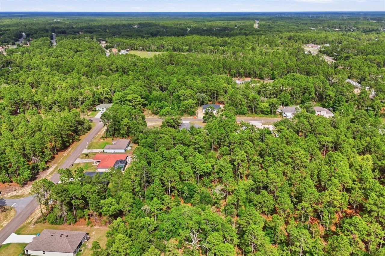 7630 N Galt Point , Citrus Springs, FL 34434 Photo