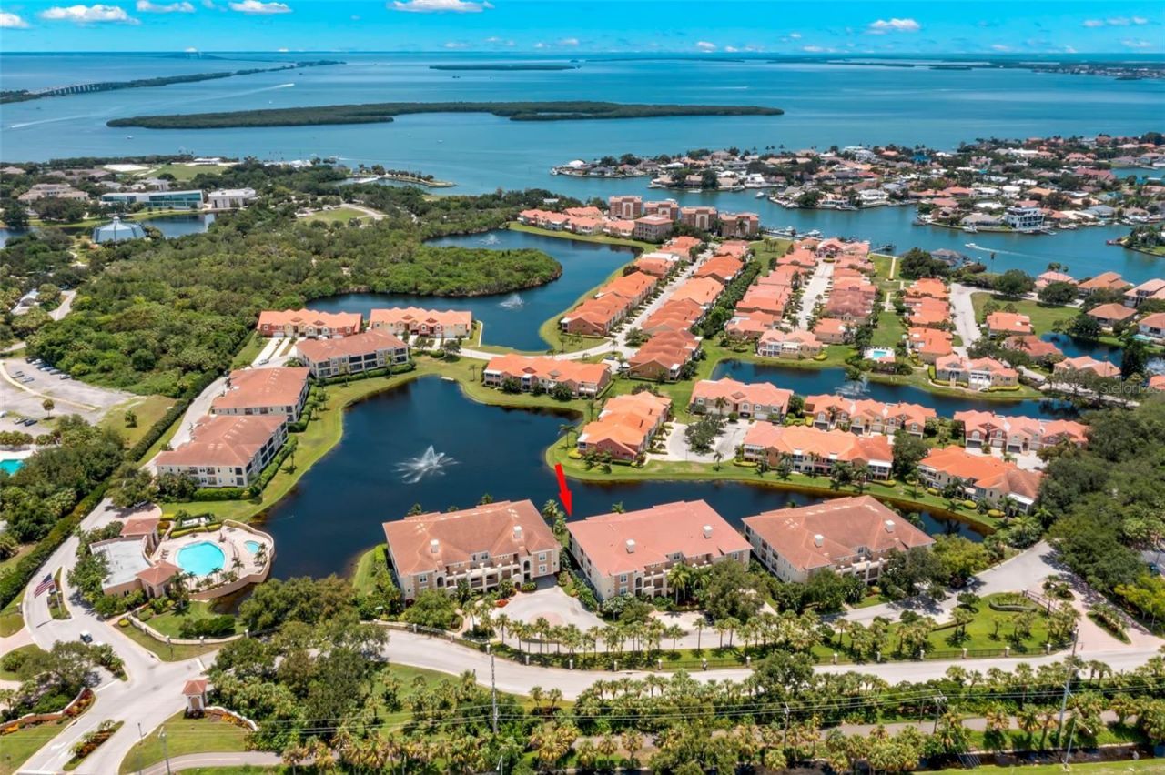 6 Academy Way S, Unit 221, Saint Petersburg, FL 33711 Photo