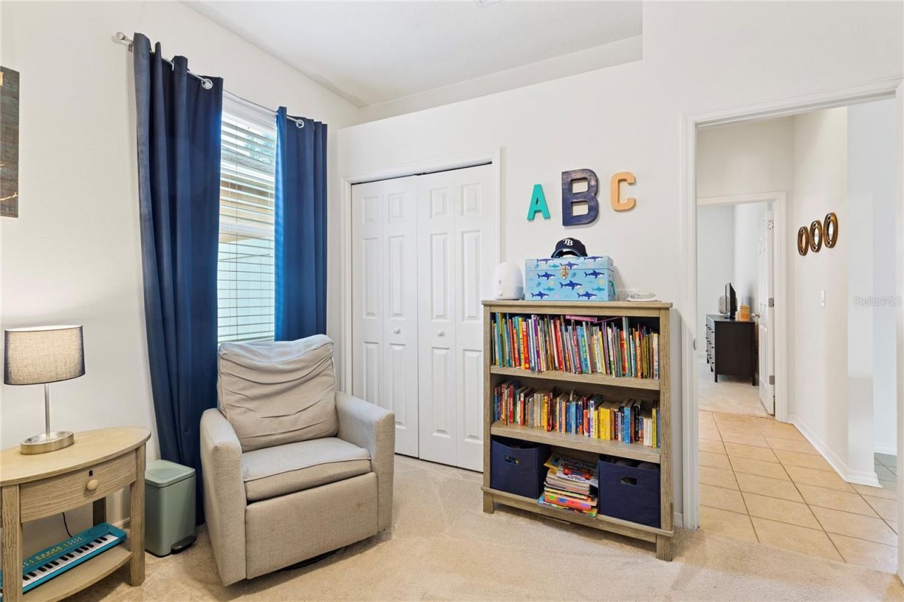 10228 Avelar Ridge Drive, Riverview, FL 33578 Photo