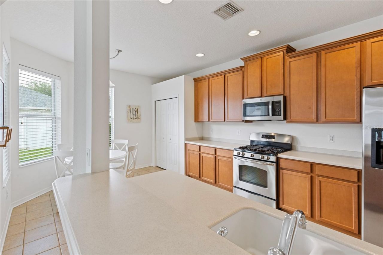 10228 Avelar Ridge Drive, Riverview, FL 33578 Photo