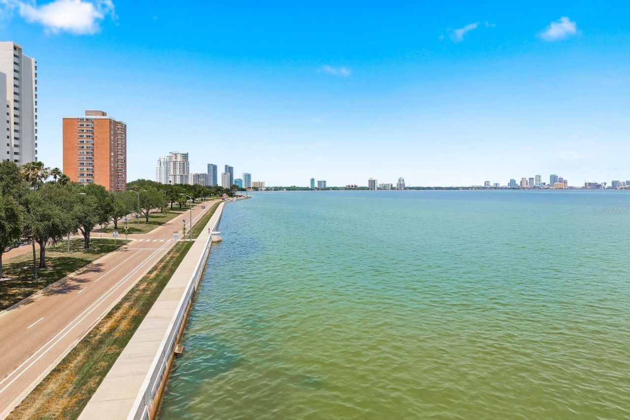 4811 Bayshore Boulevard, Unit 303, Tampa, FL 33611 Photo