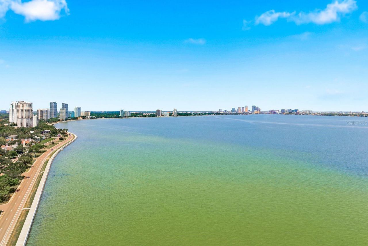 4811 Bayshore Boulevard, Unit 303, Tampa, FL 33611 Photo