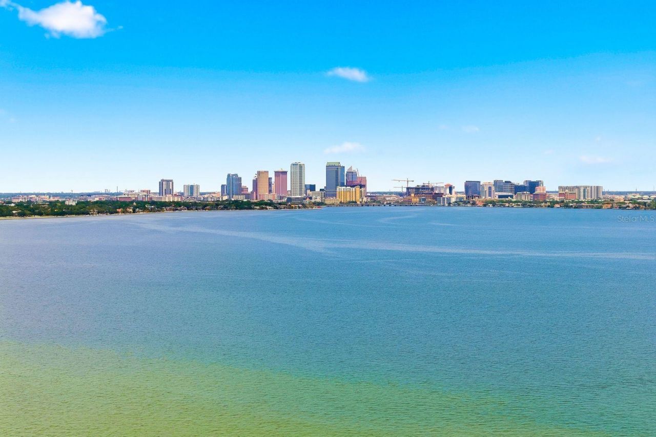 4811 Bayshore Boulevard, Unit 303, Tampa, FL 33611 Photo