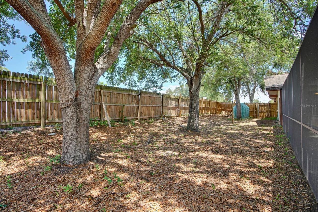 7028 Fernleaf Court , Port Richey, FL 34668 Photo
