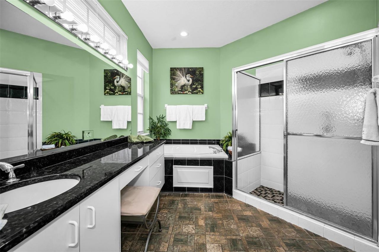 9310 Souchak Drive , Trinity, FL 34655 Photo