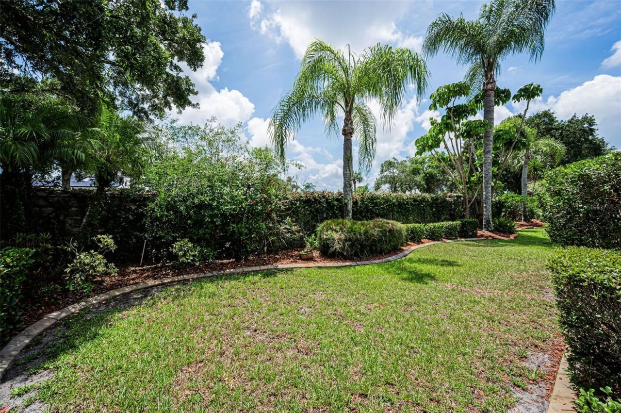 9310 Souchak Drive , Trinity, FL 34655 Photo