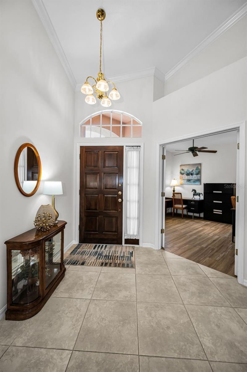 9310 Souchak Drive , Trinity, FL 34655 Photo