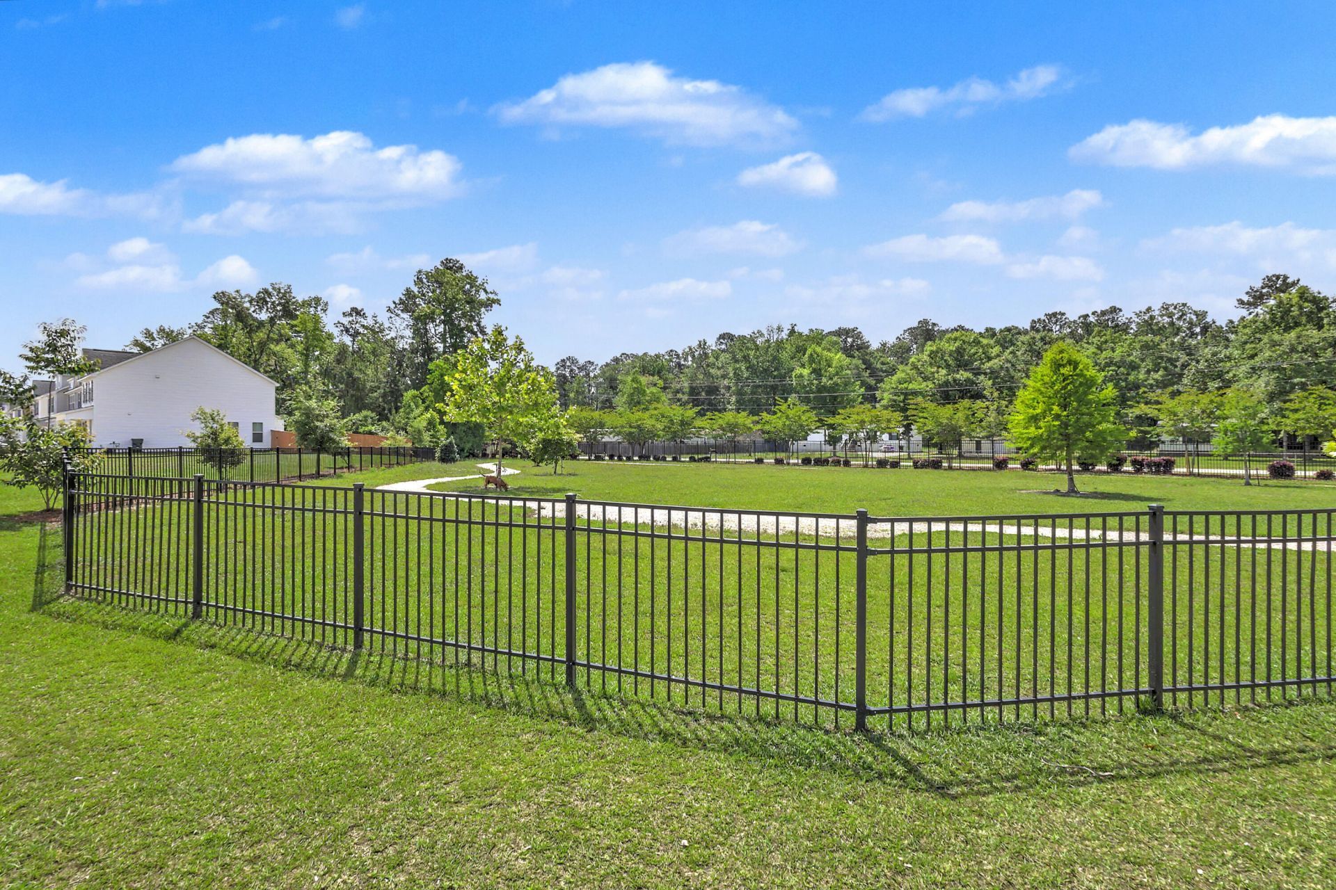 378 Green Fern Drive Photo 38
