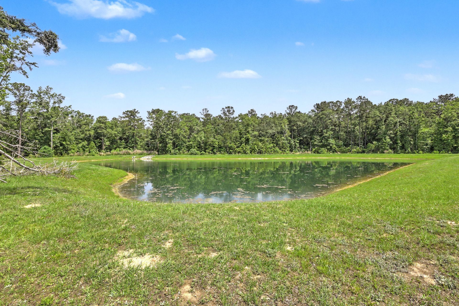 378 Green Fern Drive Photo 39