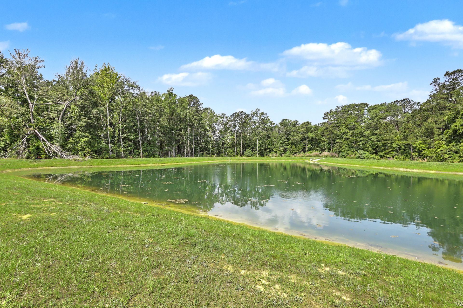 378 Green Fern Drive Photo 40