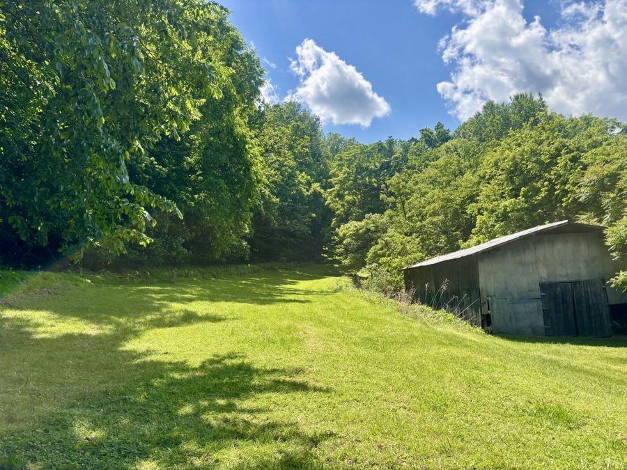 Property Image 11