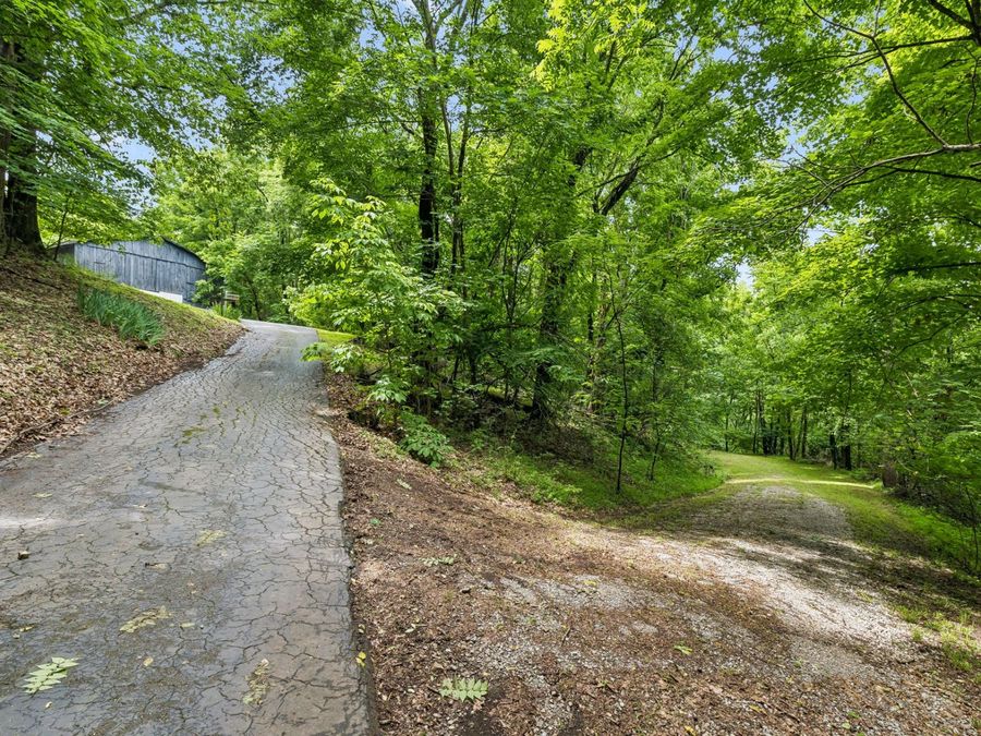 Property Image 61
