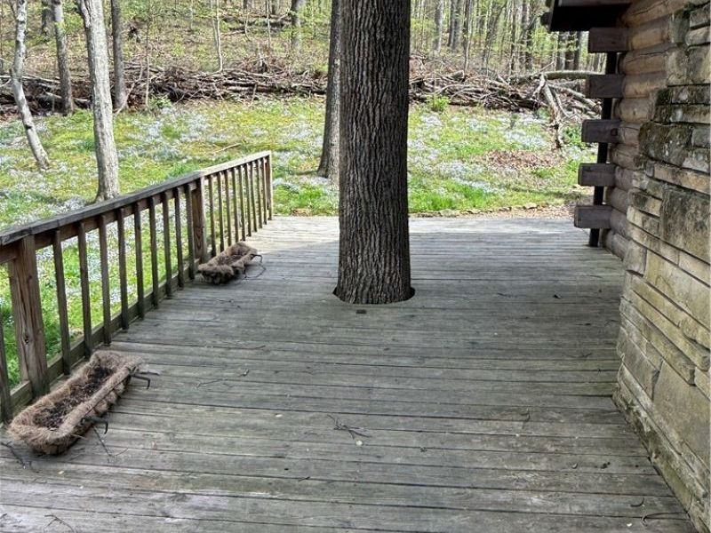 17365 Deerhorn Road, Tippecanoe, OH 44699 Photo 4