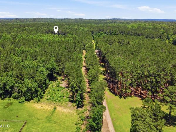 Old Lake Road, Brandon, MS 39042