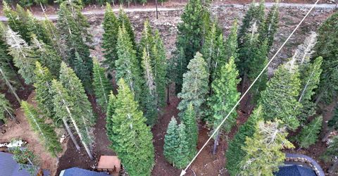 14751 Copenhagen Drive, Truckee, CA 96161 Photo