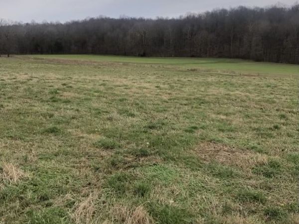 0 Thomasville Rd , Unit 14, Chapmansboro, TN 37035