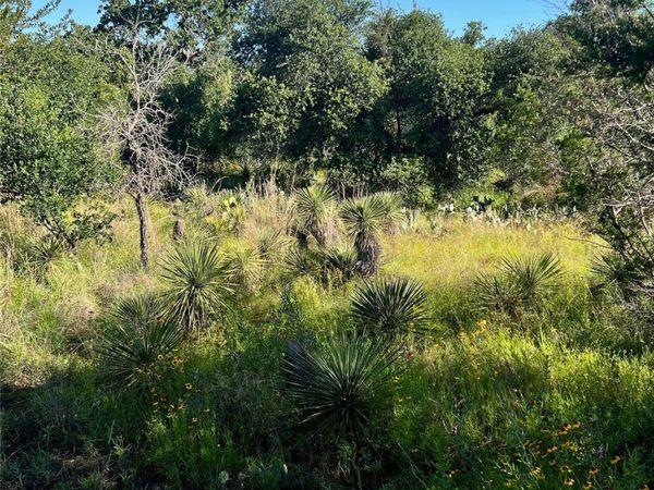 TBD Castlelake DR, Granite Shoals, TX 78654