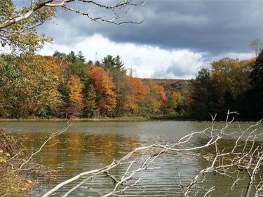 1720 County Route 12, Deruyter, NY 13052