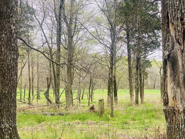 0 Thomasville Rd , Unit 13, Chapmansboro, TN 37035