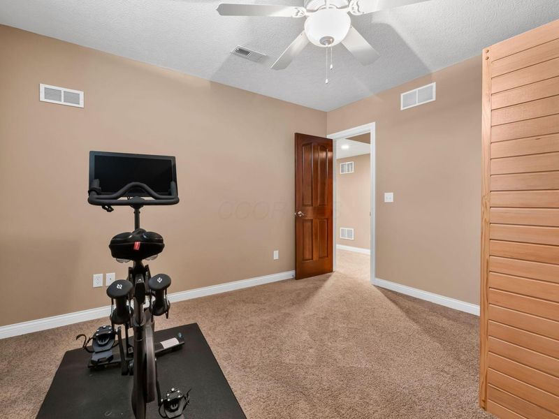 3307 Farmers Delight Drive, Lewis Center, OH 43035 Photo 88