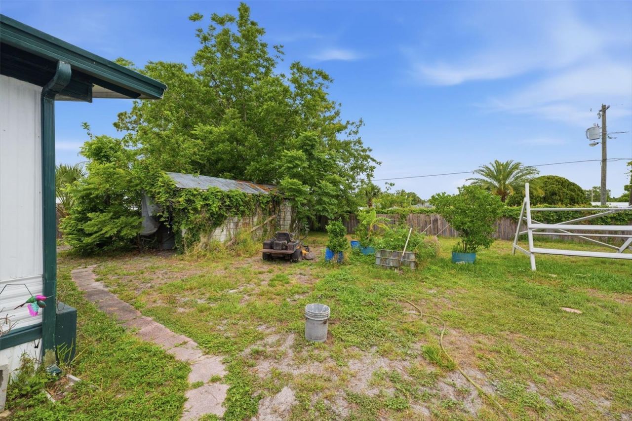 11129 Pine Tree Lane , Port Richey, FL 34668 Photo