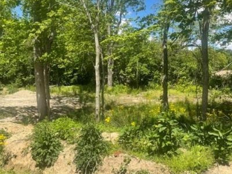 0 Skive Cove, Lakengren, OH 45320 Photo 4