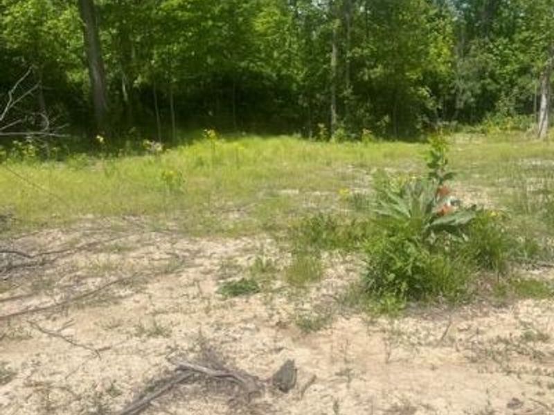 0 Skive Cove, Lakengren, OH 45320 Photo 9