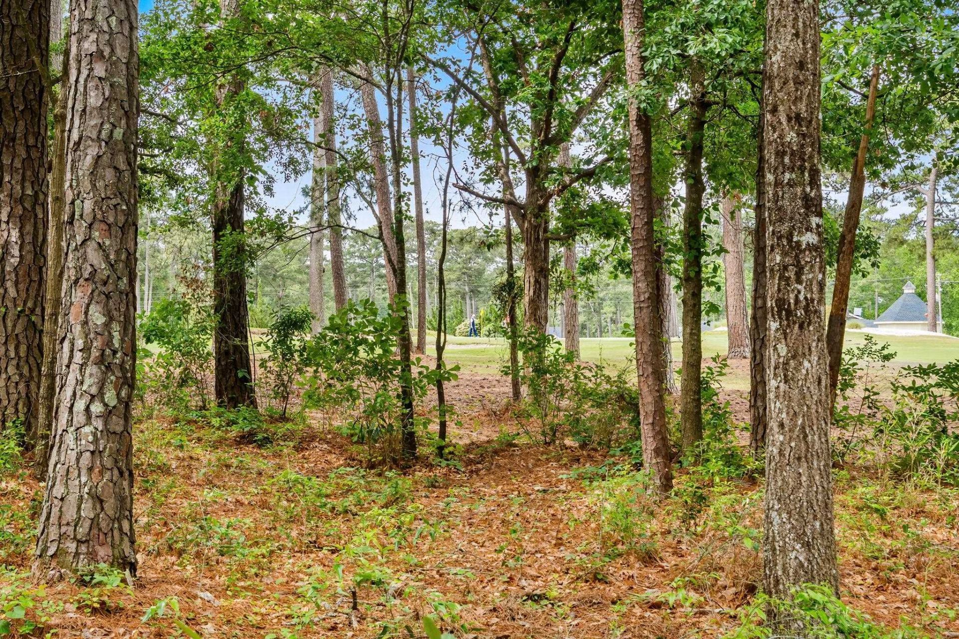 3119 Michelle Ct. Photo 44