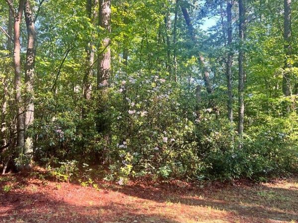 Lot 138 High Point Rd, HEATHSVILLE, VA 22473