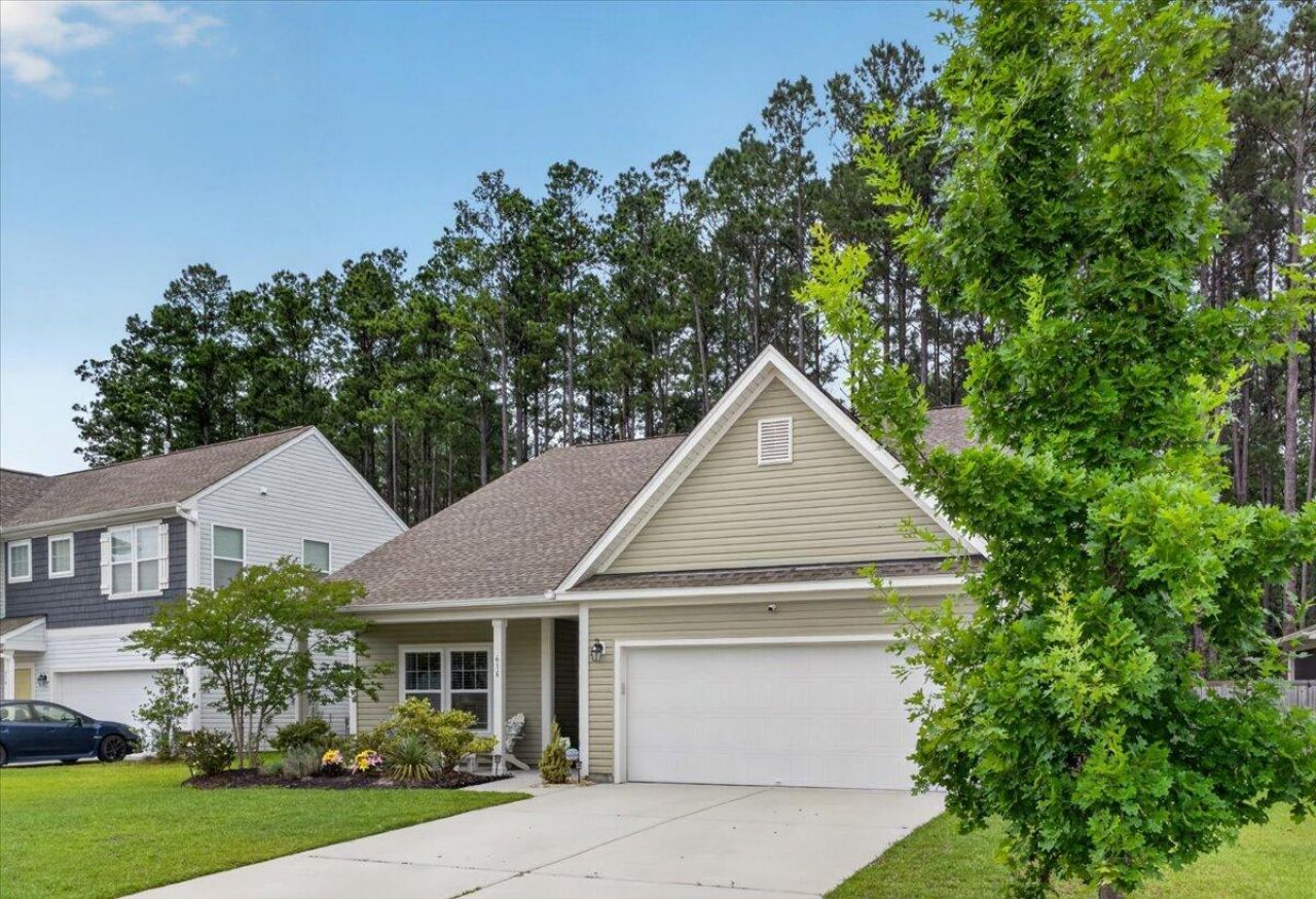 616 Snow Owl Drive Photo 3
