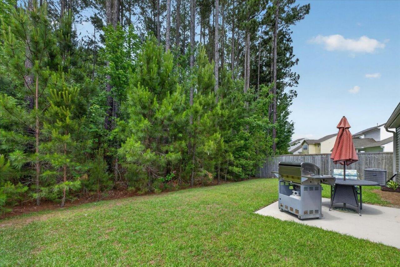 616 Snow Owl Drive Photo 36