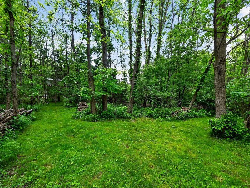 9750 Erin Woods Drive, Dublin, OH 43017 Photo 62