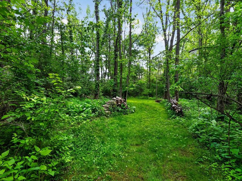 9750 Erin Woods Drive, Dublin, OH 43017 Photo 7