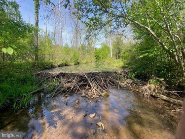TBD GRASSLAND, Unit 8A, SANDY LEVEL, VA 24161