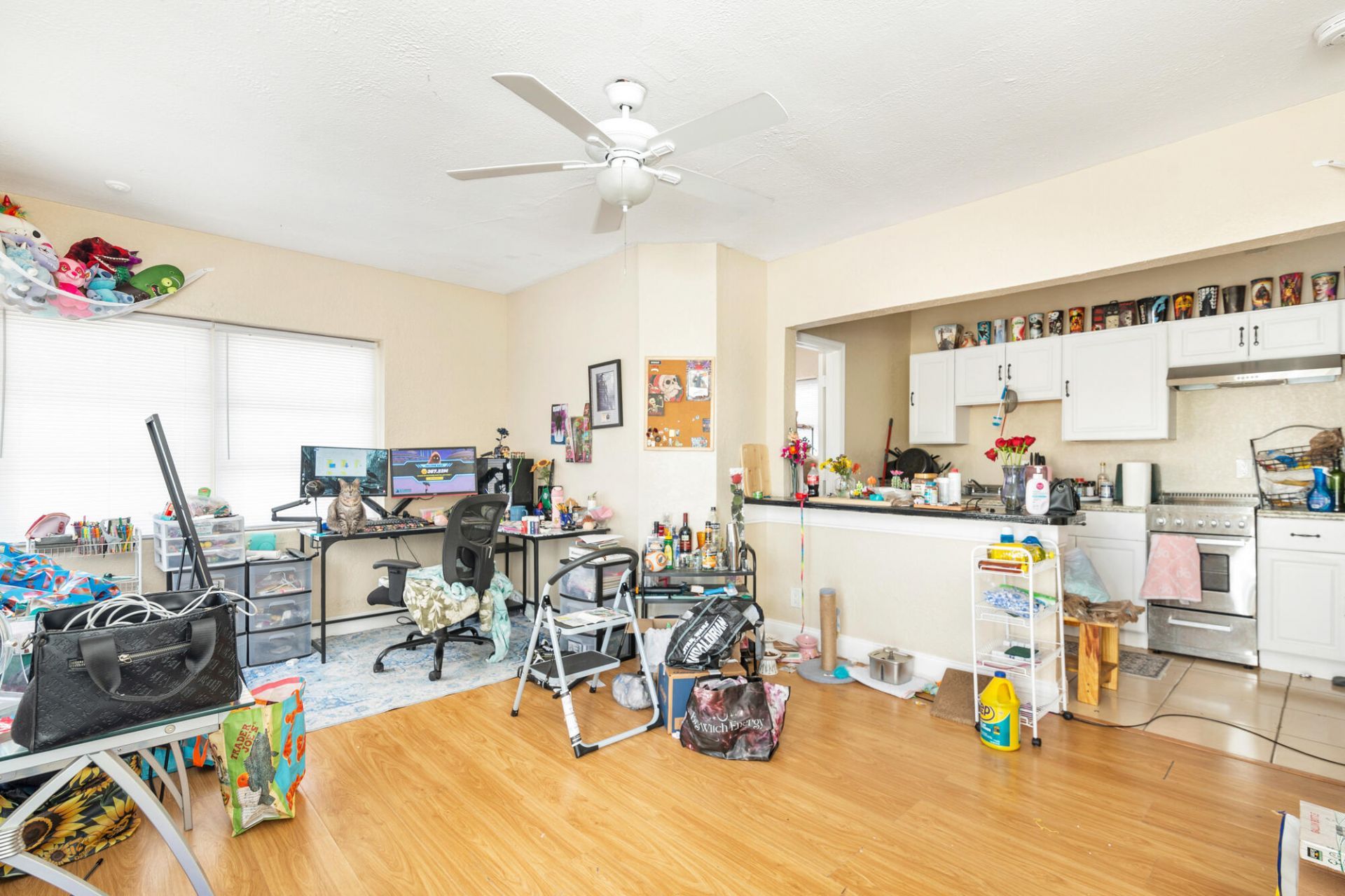 258 Conniston Road, West Palm Beach, FL 33405 Photo