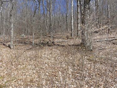 Lot 11.2 Alpine Drive, Andes, NY 13731