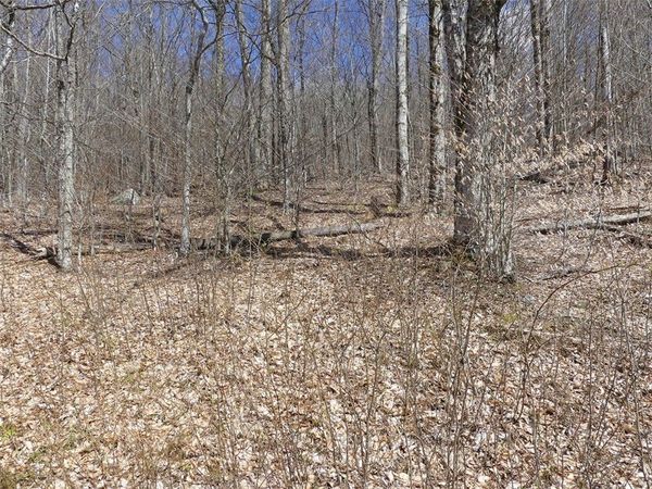 Lot 11.2 Alpine Drive, Andes, NY 13731