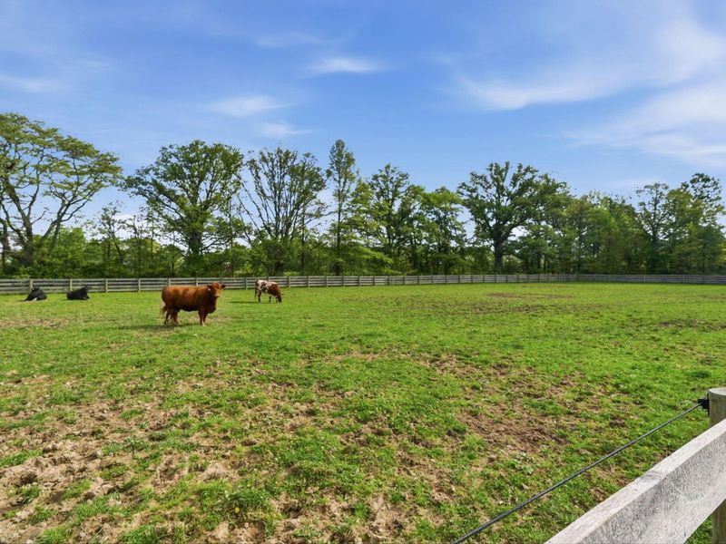 9850 Harriott Road, Marysville, OH 43040 Photo 89