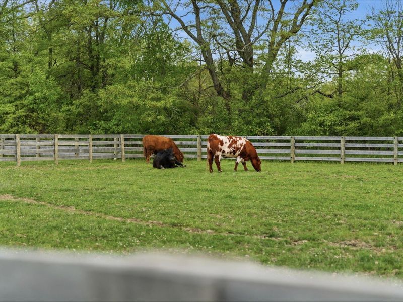 9850 Harriott Road, Marysville, OH 43040 Photo 90