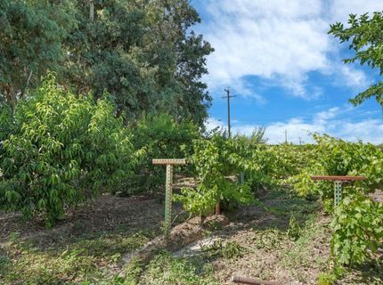 6632 E Acampo Rd, Acampo, CA 95220 Photo