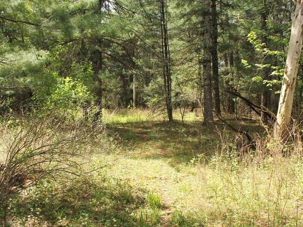 8TH ROAD, Westfield, WI 53964