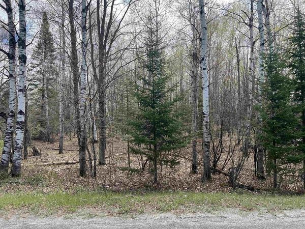 NEJEDLO ROAD, Wausaukee, WI 54177