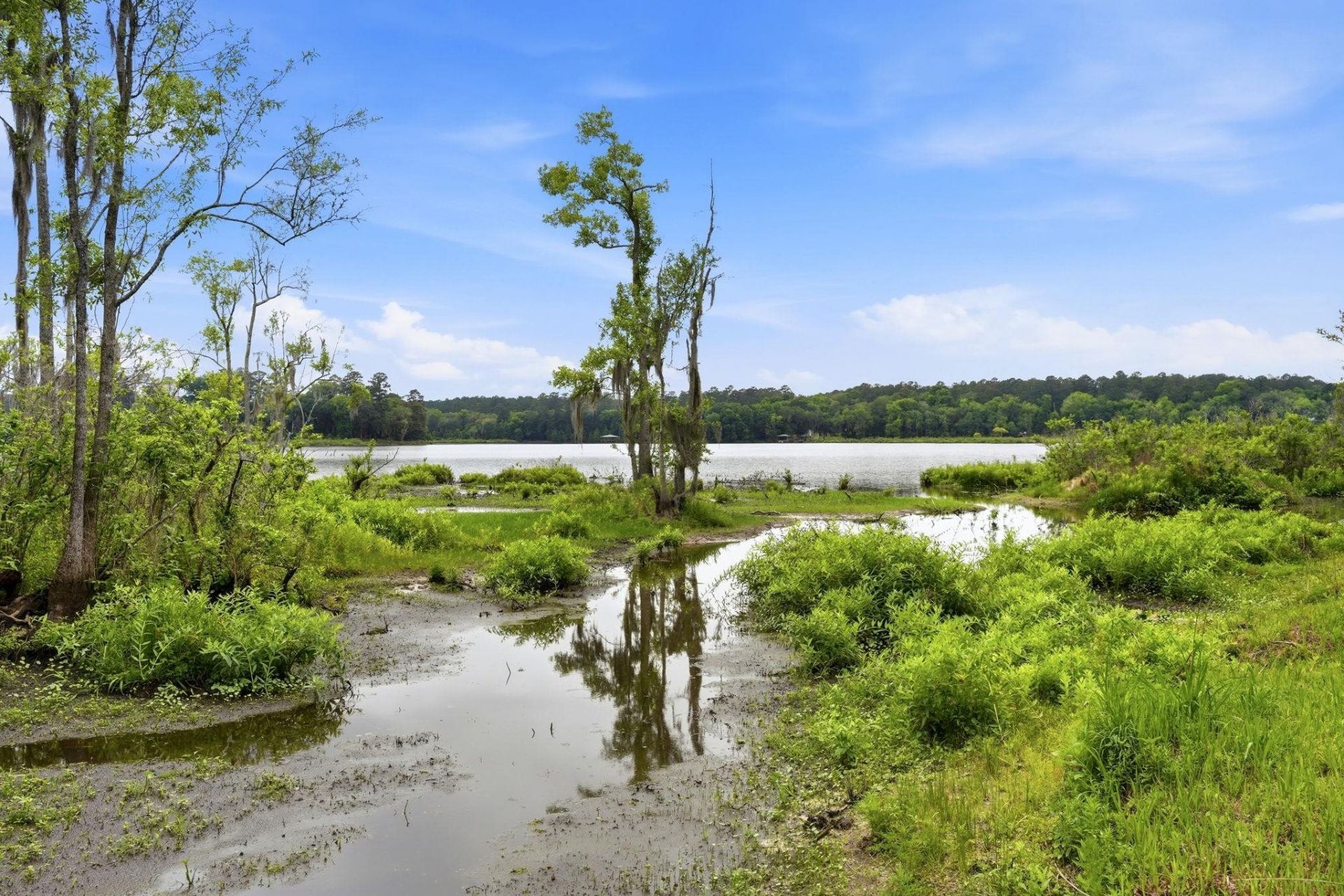 6981 Duck Cove Road , Tallahassee, FL 32312 Photo